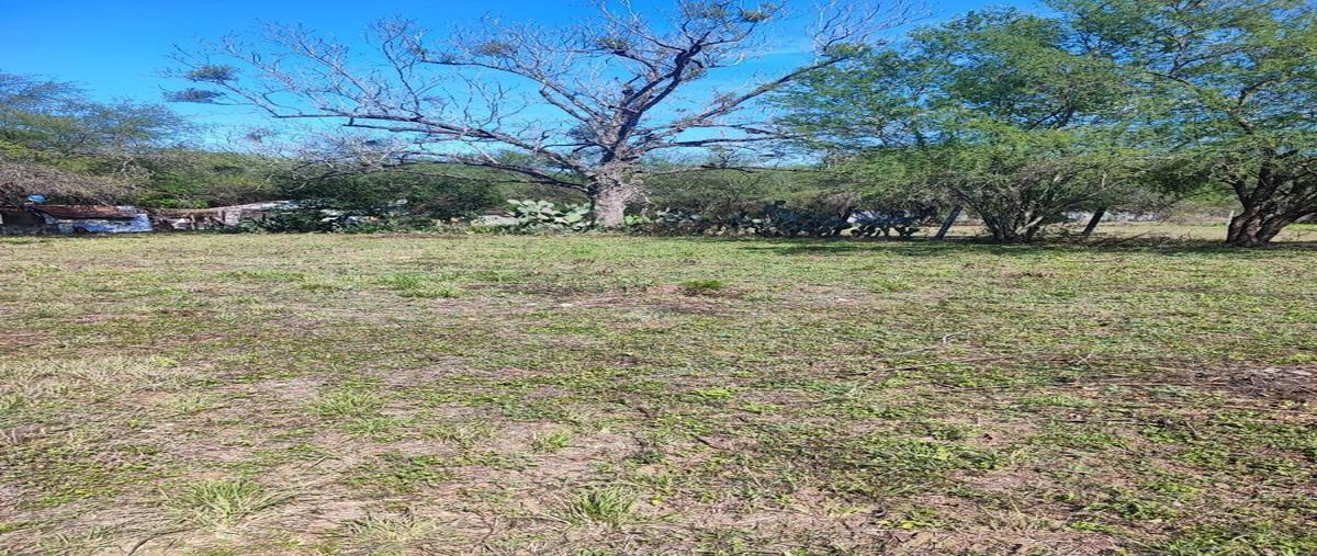 Foto de terreno habitacional en venta en  , los lirios, apodaca, nuevo león, 27939394 No. 03