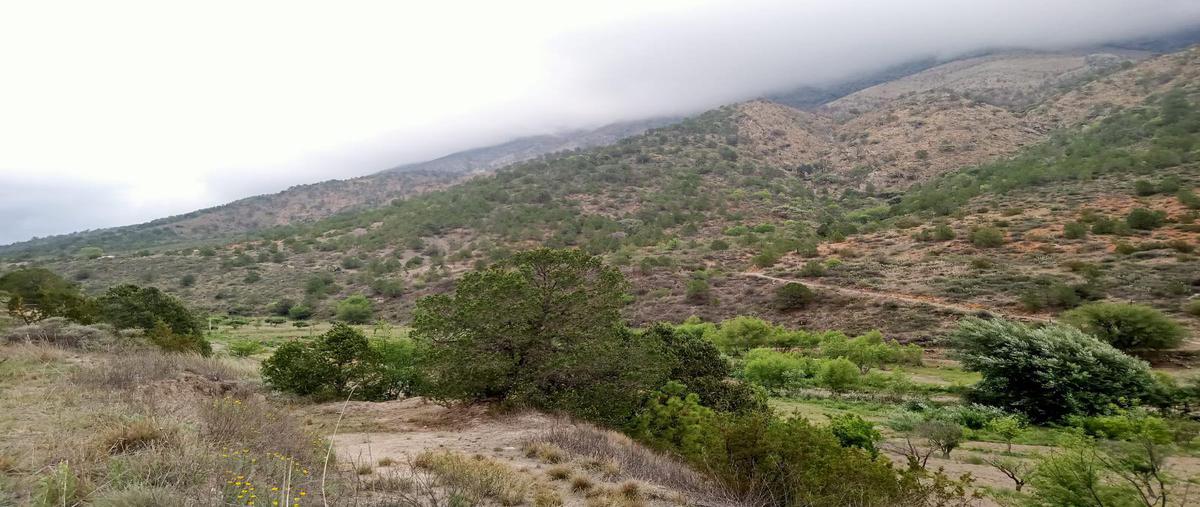 Foto de terreno habitacional en venta en  , los lirios, arteaga, coahuila de zaragoza, 0 No. 03