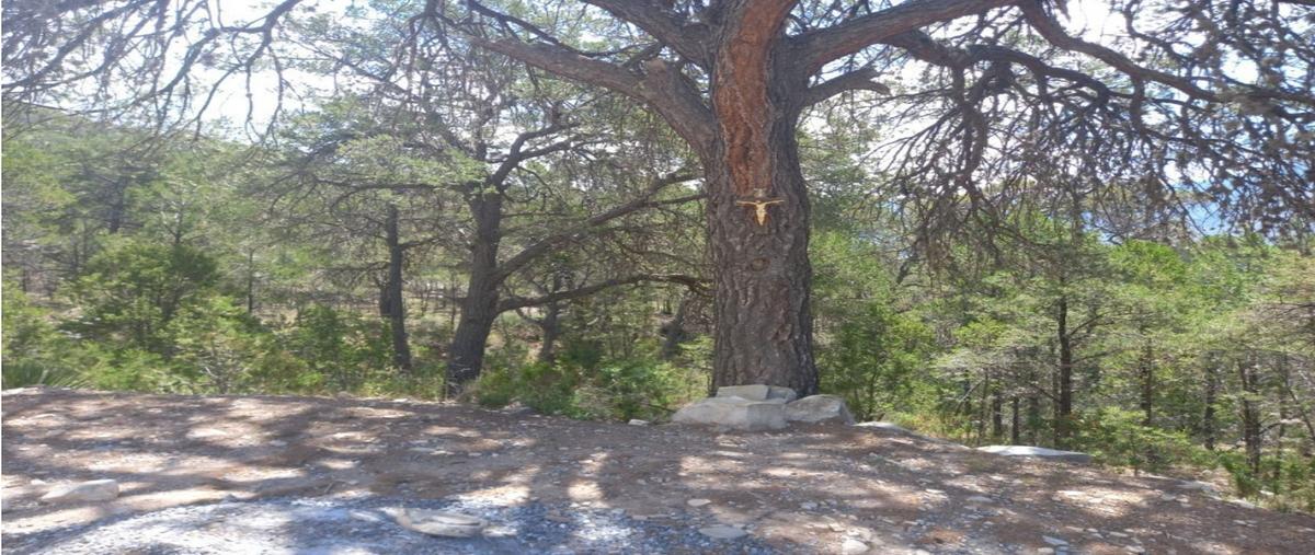 Foto de terreno habitacional en venta en  , los lirios, arteaga, coahuila de zaragoza, 0 No. 04