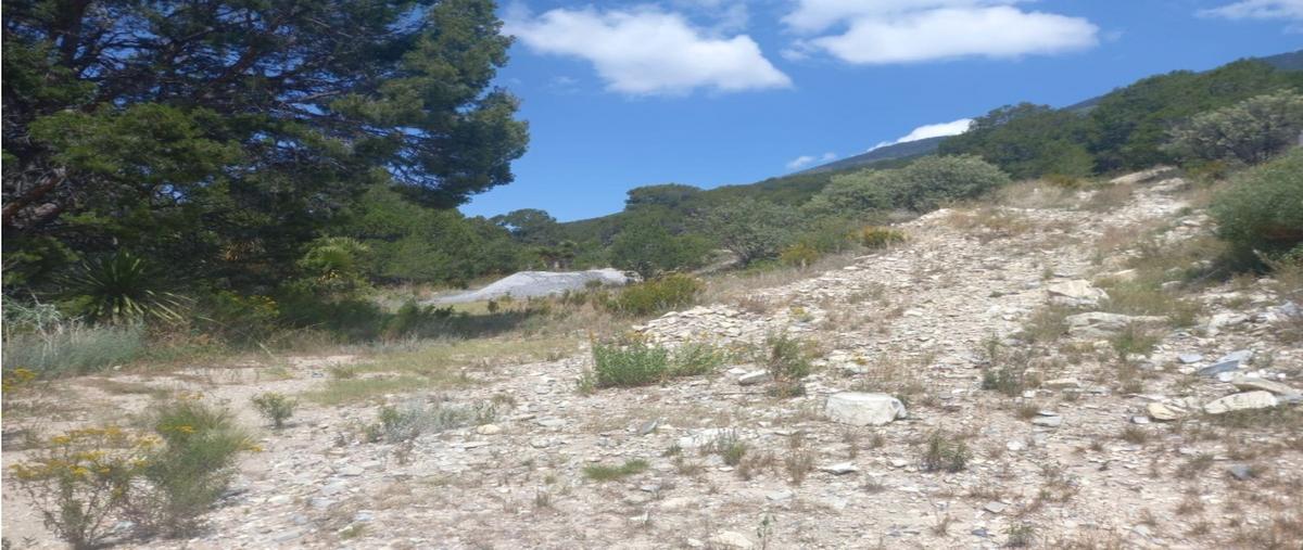 Foto de terreno habitacional en venta en  , los lirios, arteaga, coahuila de zaragoza, 0 No. 05