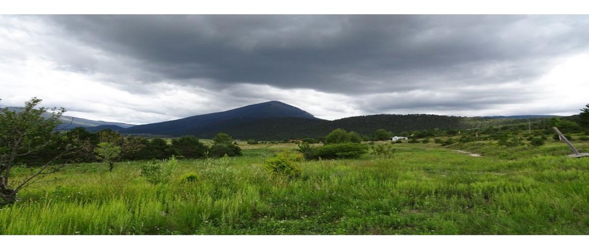 Foto de terreno habitacional en venta en  , los lirios, arteaga, coahuila de zaragoza, 0 No. 03