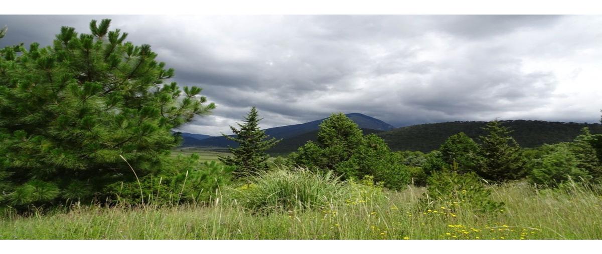Foto de terreno habitacional en venta en  , los lirios, arteaga, coahuila de zaragoza, 0 No. 04