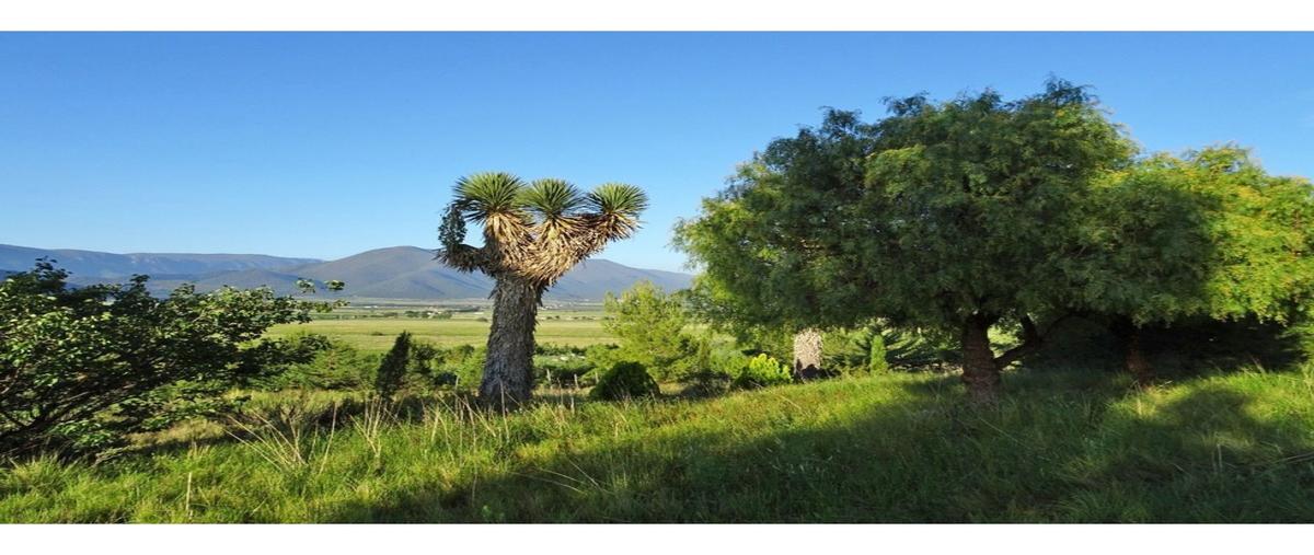 Foto de terreno habitacional en venta en  , los lirios, arteaga, coahuila de zaragoza, 0 No. 05