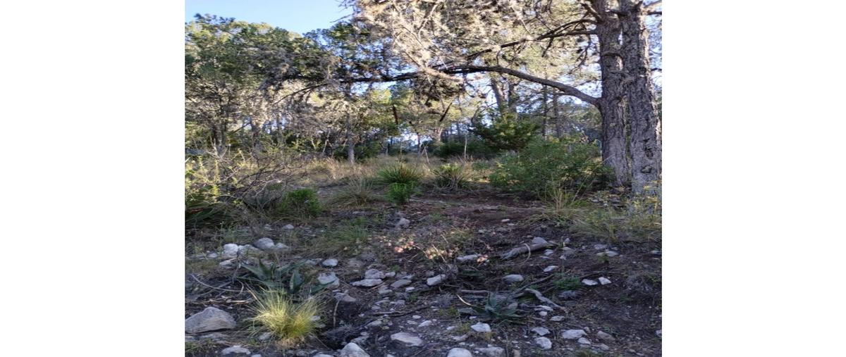 Foto de terreno habitacional en venta en  , los lirios, arteaga, coahuila de zaragoza, 0 No. 05