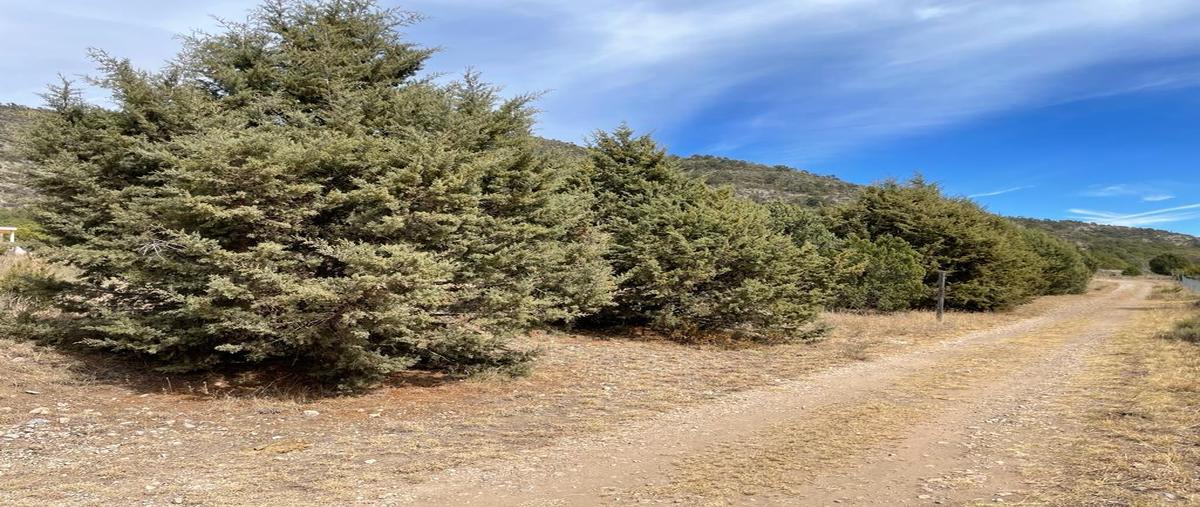 Foto de terreno habitacional en venta en  , los lirios, arteaga, coahuila de zaragoza, 0 No. 03