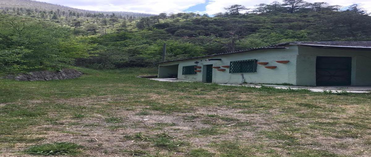 Foto de terreno habitacional en venta en  , los lirios, arteaga, coahuila de zaragoza, 0 No. 04