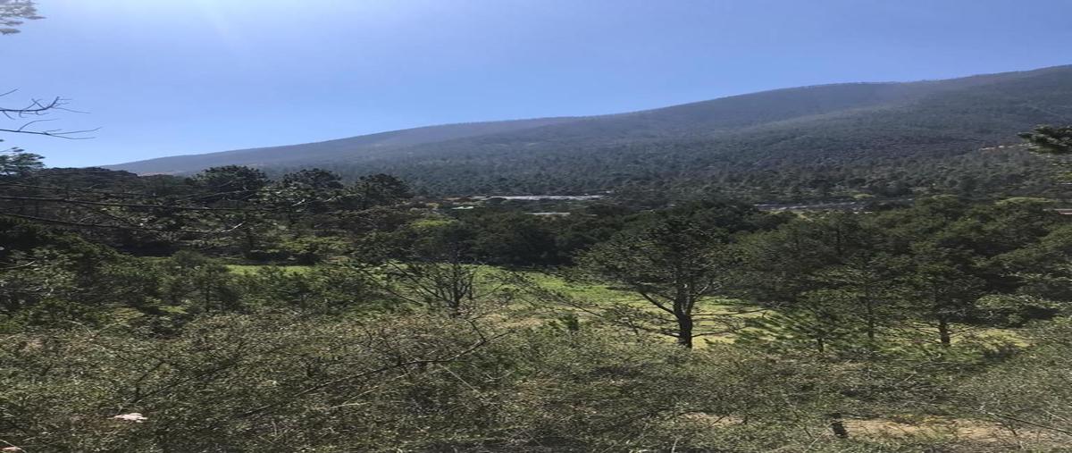 Foto de terreno habitacional en venta en . , los lirios, arteaga, coahuila de zaragoza, 0 No. 03