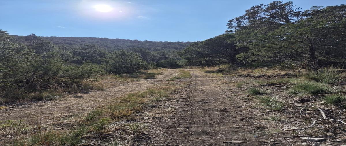 Foto de terreno habitacional en venta en  , los lirios, arteaga, coahuila de zaragoza, 30350323 No. 04