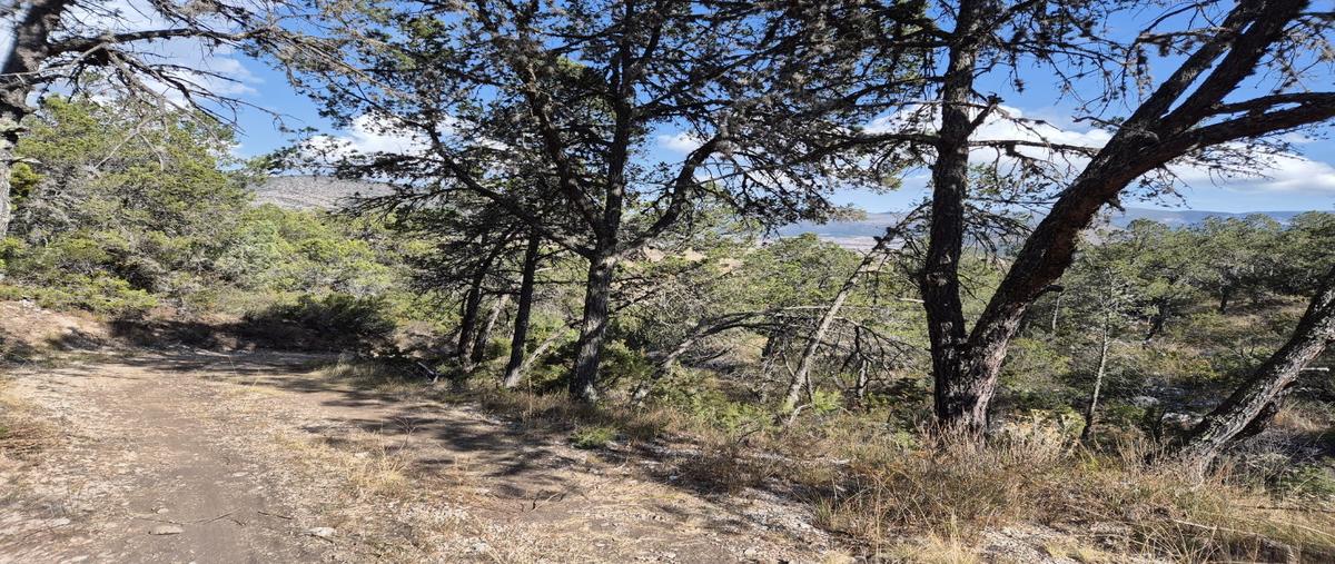 Foto de terreno habitacional en venta en  , los lirios, arteaga, coahuila de zaragoza, 30350323 No. 05