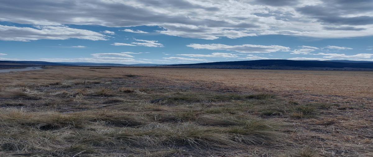 Foto de terreno habitacional en los lirios , los llanos, arteaga, coahuila de zaragoza, 30088920 foto 01 Foto de terreno habitacional en venta en los lirios , los llanos, arteaga, coahuila de zaragoza, 30088920 No. 01