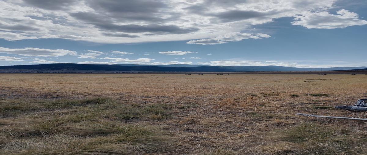 Foto de terreno habitacional en los lirios , los llanos, arteaga, coahuila de zaragoza, 30088920 foto 02 Foto de terreno habitacional en venta en los lirios , los llanos, arteaga, coahuila de zaragoza, 30088920 No. 02