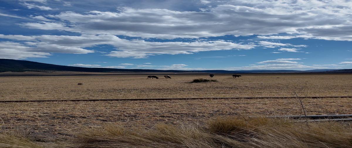 Foto de terreno habitacional en los lirios , los llanos, arteaga, coahuila de zaragoza, 30088920 foto 03 Foto de terreno habitacional en venta en los lirios , los llanos, arteaga, coahuila de zaragoza, 30088920 No. 03