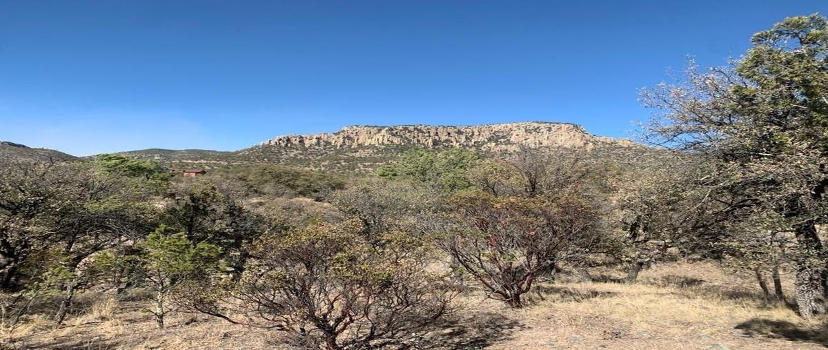 Foto de terreno habitacional en venta en los lirios , majalca, chihuahua, chihuahua, 28433190 No. 01