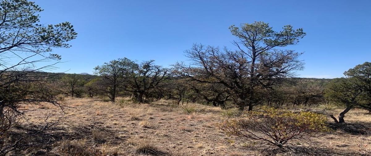 Foto de terreno habitacional en venta en los lirios , majalca, chihuahua, chihuahua, 28433190 No. 03