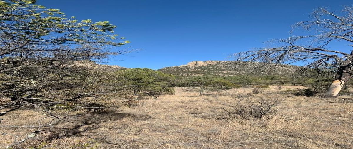 Foto de terreno habitacional en venta en los lirios , majalca, chihuahua, chihuahua, 28433190 No. 05