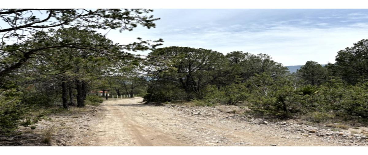 Foto de terreno habitacional en , los llanos, arteaga, coahuila de zaragoza, 0 foto 01 Foto de terreno habitacional en venta en , los llanos, arteaga, coahuila de zaragoza, 0 No. 01