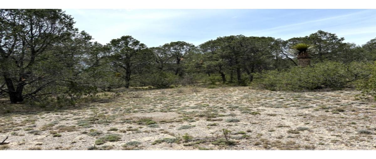 Foto de terreno habitacional en , los llanos, arteaga, coahuila de zaragoza, 0 foto 05 Foto de terreno habitacional en venta en , los llanos, arteaga, coahuila de zaragoza, 0 No. 05