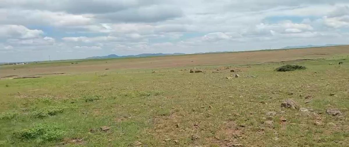 Foto de rancho en venta en  , los llanos de san juan bautista, cusihuiriachi, chihuahua, 30266844 No. 03