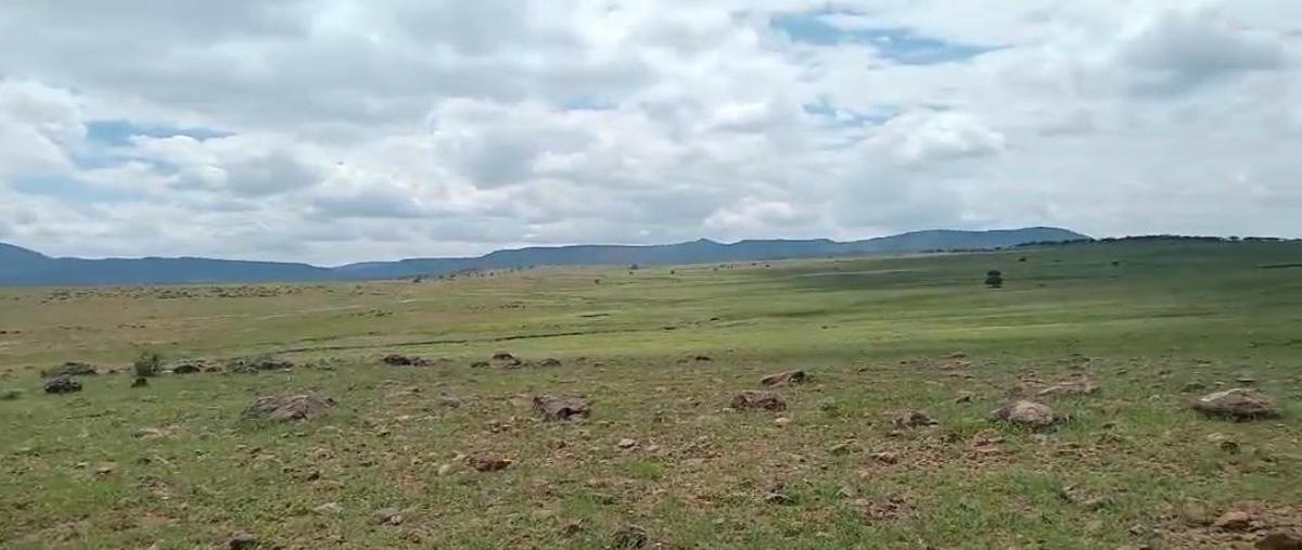 Foto de rancho en venta en  , los llanos de san juan bautista, cusihuiriachi, chihuahua, 30266844 No. 04