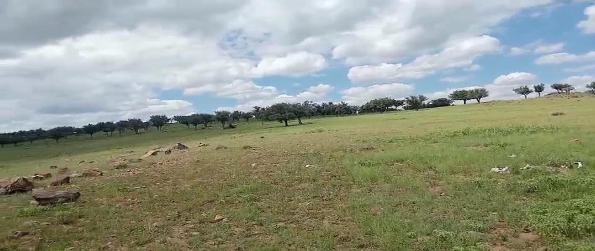 Foto de rancho en venta en  , los llanos de san juan bautista, cusihuiriachi, chihuahua, 30266844 No. 05