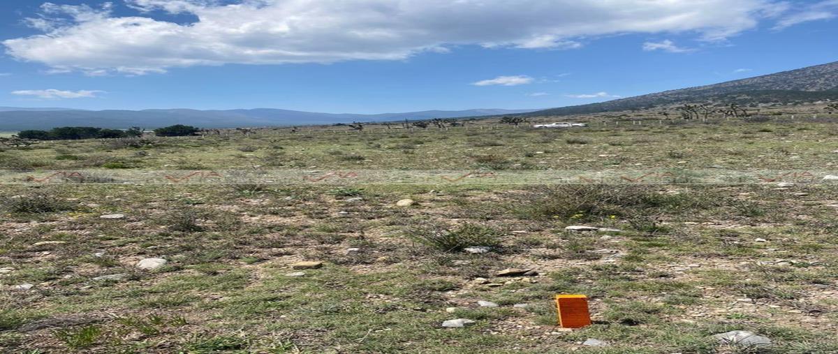 Foto de terreno habitacional en venta en los llanos , monterreal, frontera, coahuila de zaragoza, 28132769 No. 03