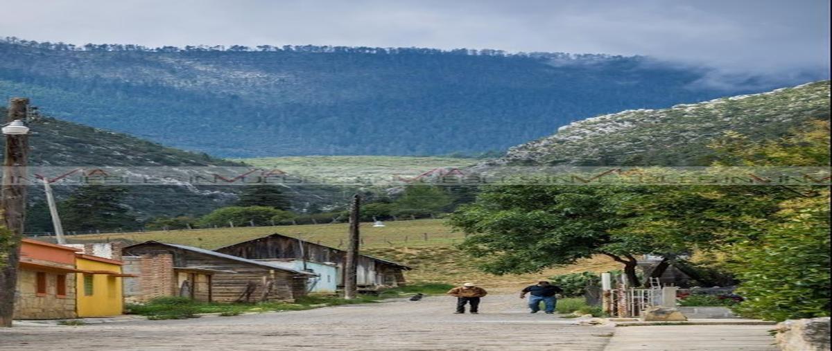 Foto de terreno habitacional en venta en los llanos , monterreal, frontera, coahuila de zaragoza, 28132769 No. 04