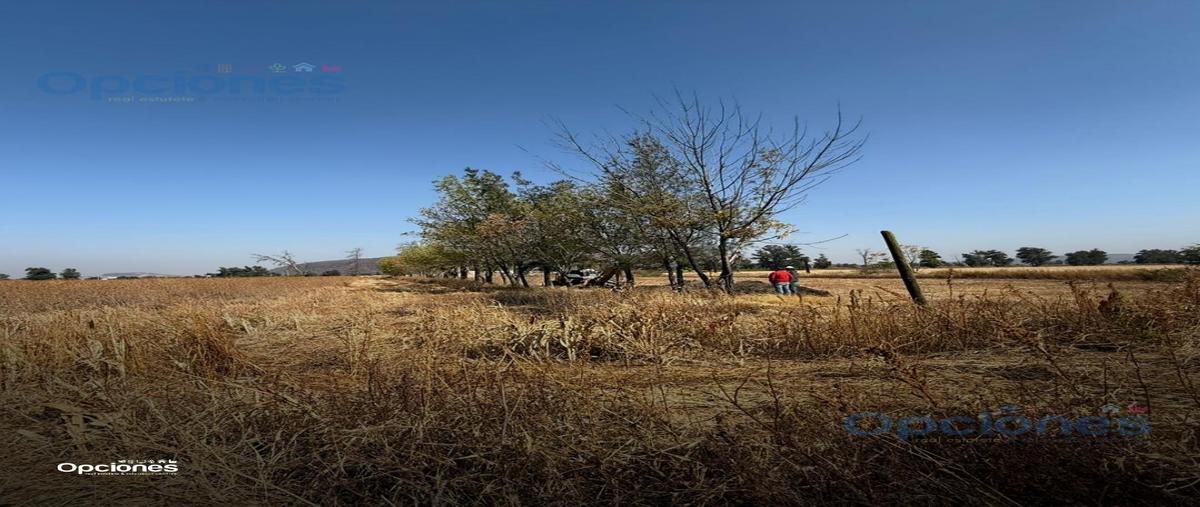 Foto de terreno habitacional en venta en  , los lobos, salamanca, guanajuato, 0 No. 03