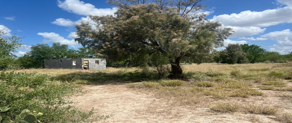 Foto de terreno habitacional en venta en  , los longorias, reynosa, tamaulipas, 28614180 No. 03