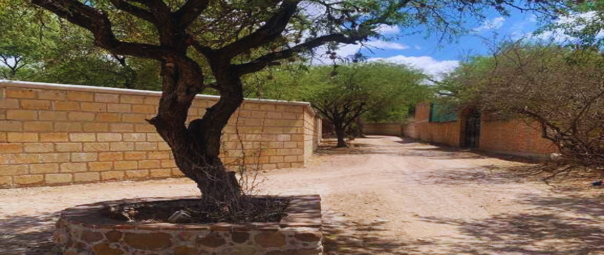 Foto de terreno habitacional en venta en los lópez , los lópez, san miguel de allende, guanajuato, 28394046 No. 04