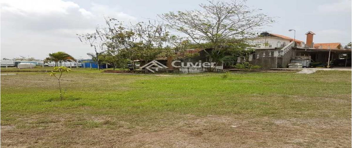 Foto de terreno habitacional en venta en  , los mangos, altamira, tamaulipas, 0 No. 04