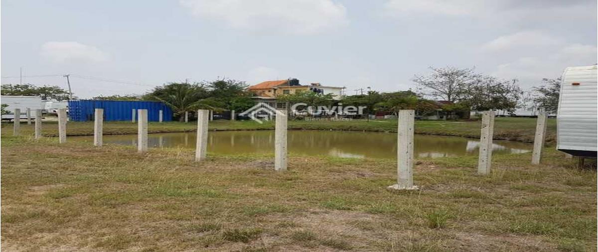 Foto de terreno habitacional en venta en  , los mangos, altamira, tamaulipas, 0 No. 05