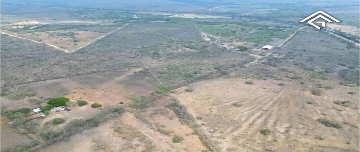 Foto de terreno habitacional en renta en  , los mangos, altamira, tamaulipas, 0 No. 03