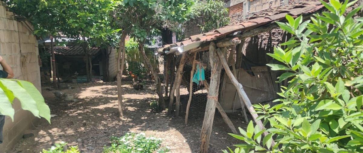 Foto de terreno habitacional en renta en  , los mangos, ocozocoautla de espinosa, chiapas, 0 No. 04