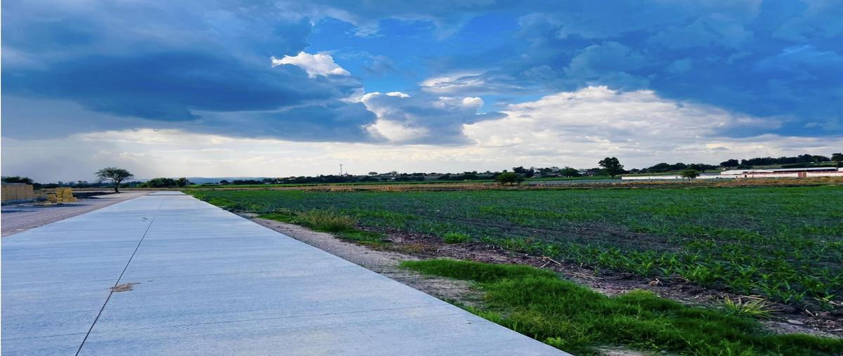 Foto de terreno habitacional en venta en  , los melgoza, la piedad, michoacán de ocampo, 0 No. 03