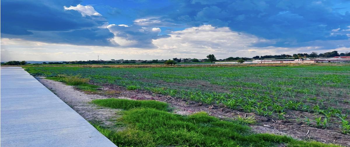 Foto de terreno habitacional en venta en  , los melgoza, la piedad, michoacán de ocampo, 0 No. 04
