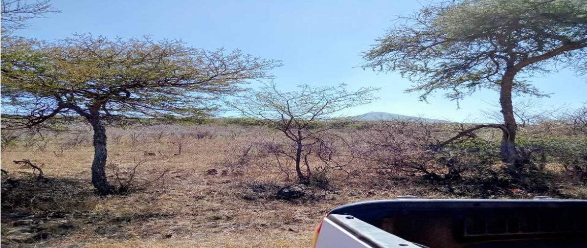 Foto de terreno habitacional en venta en  , los melgoza, la piedad, michoacán de ocampo, 0 No. 04