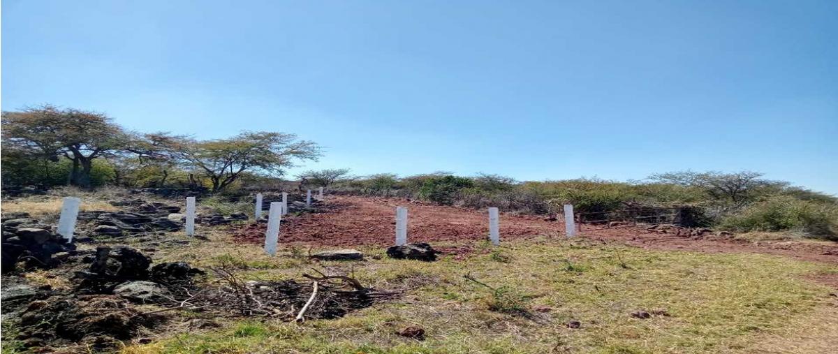 Foto de terreno habitacional en venta en  , los melgoza, la piedad, michoacán de ocampo, 0 No. 05