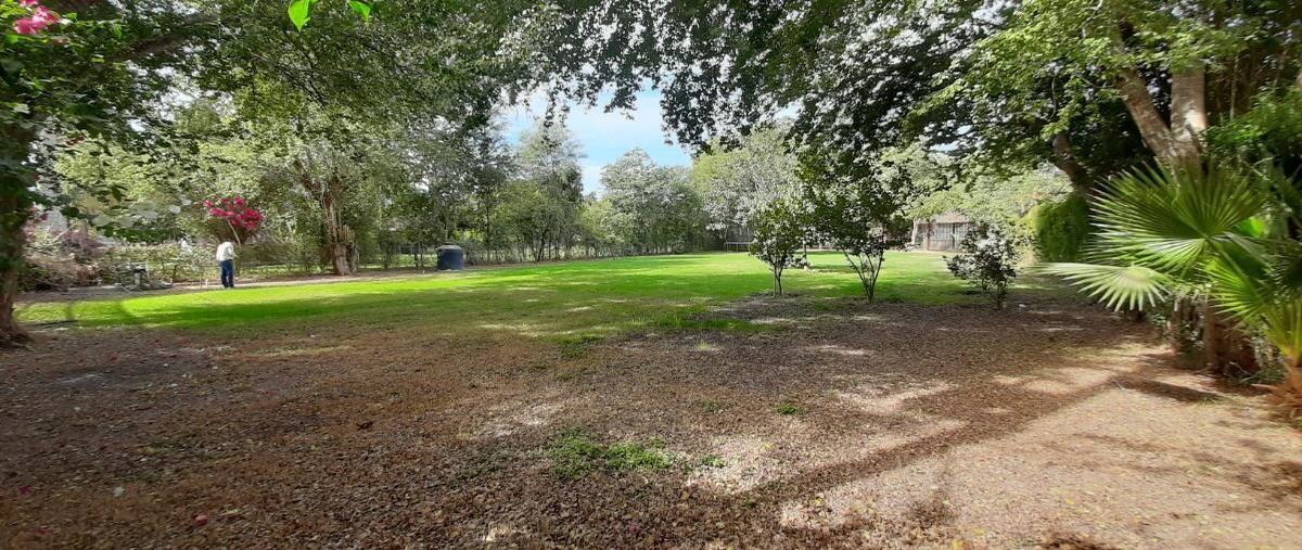 Foto de terreno habitacional en los mochis, ahome, sinaloa , los mochis (los mochis), ahome, sinaloa, 0 foto 05 Foto de terreno habitacional en venta en los mochis, ahome, sinaloa , los mochis (los mochis), ahome, sinaloa, 0 No. 05