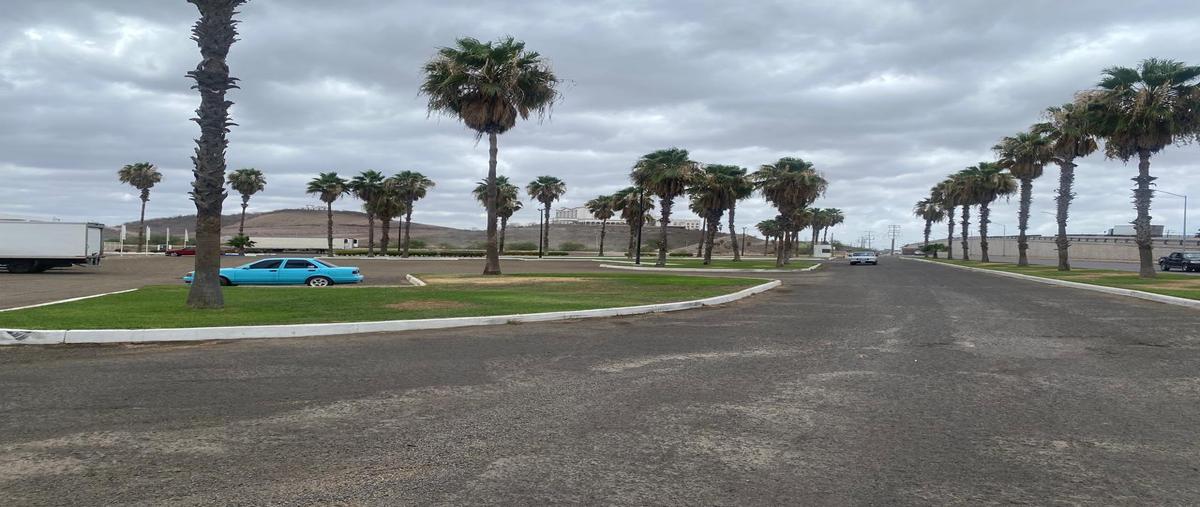 Foto de bodega en venta en  , los mochis (los mochis), ahome, sinaloa, 30240420 No. 03