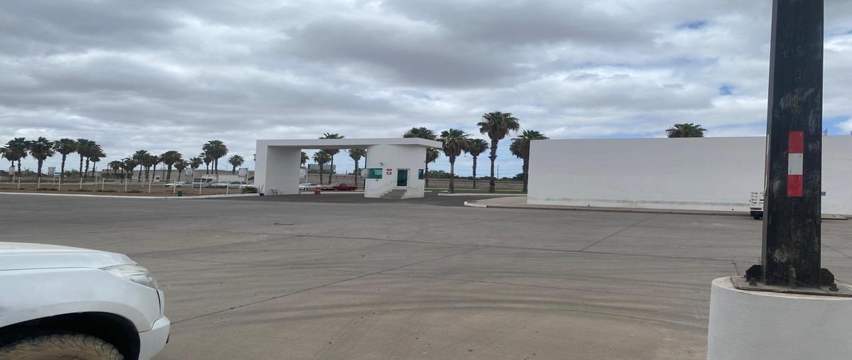 Foto de bodega en venta en  , los mochis (los mochis), ahome, sinaloa, 30240420 No. 05