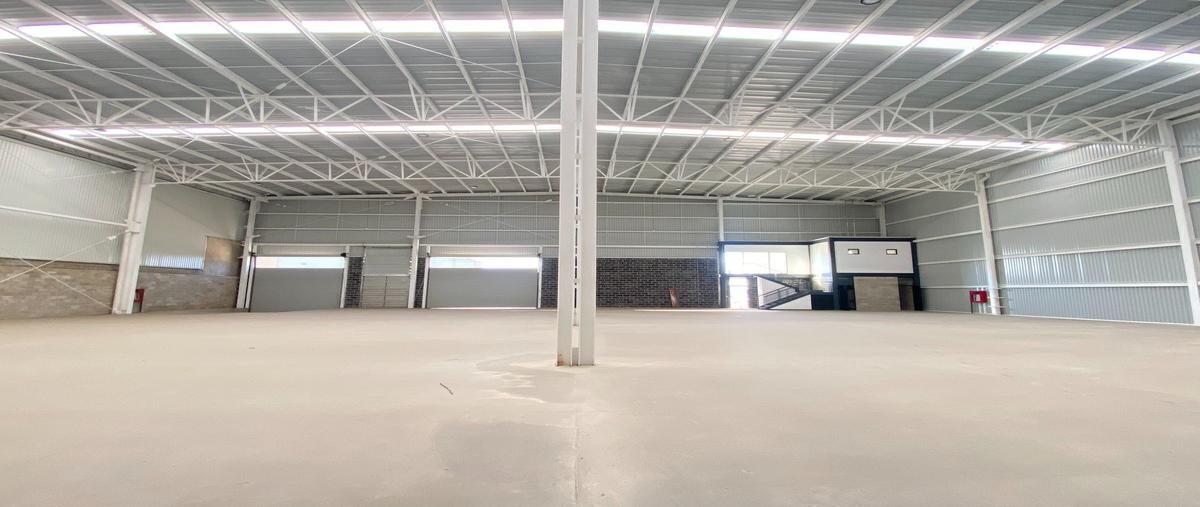 Foto de bodega en renta en  , los molinos, zapopan, jalisco, 26576151 No. 04