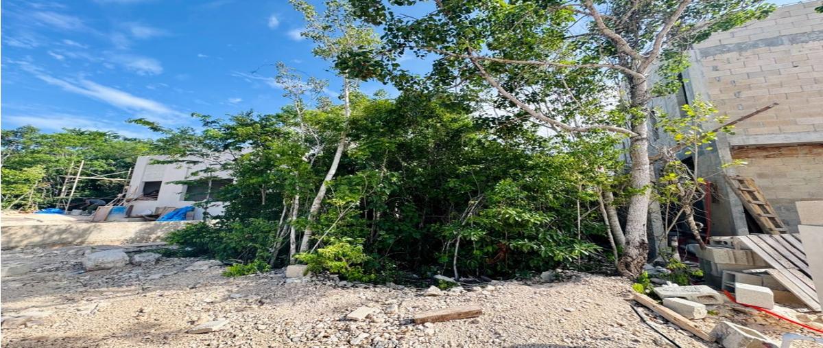 Foto de terreno habitacional en , los naranjos, benito juárez, quintana roo, 0 foto 03 Foto de terreno habitacional en venta en , los naranjos, benito juárez, quintana roo, 0 No. 03