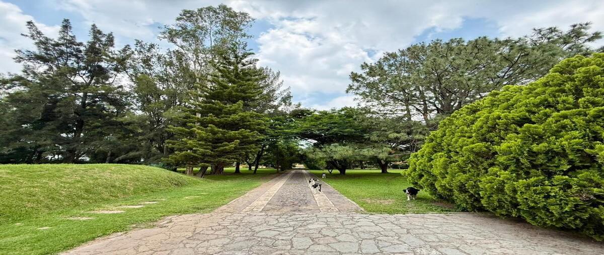 Foto de casa en renta en los naranjos , la mojonera, zapopan, jalisco, 0 No. 01