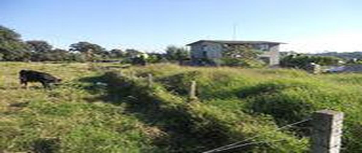 Foto de terreno comercial en , los naranjos, xalapa, veracruz de ignacio de la llave, 30298417 foto 03 Foto de terreno comercial en venta en , los naranjos, xalapa, veracruz de ignacio de la llave, 30298417 No. 03