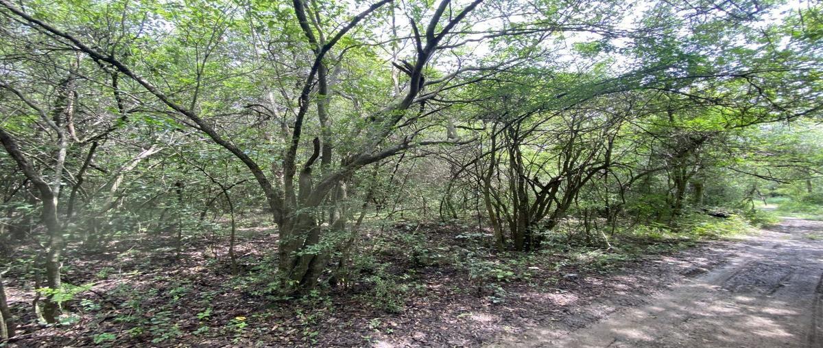 Foto de terreno habitacional en venta en los nogales , bosques de la silla, juárez, nuevo león, 26617649 No. 04