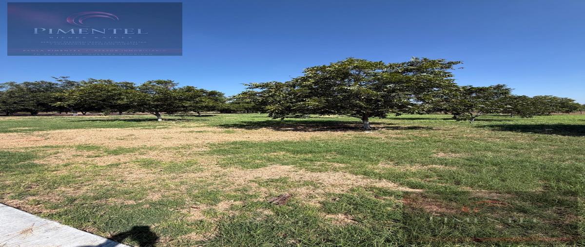 Foto de terreno habitacional en venta en  , los nogales, montemorelos, nuevo león, 0 No. 03