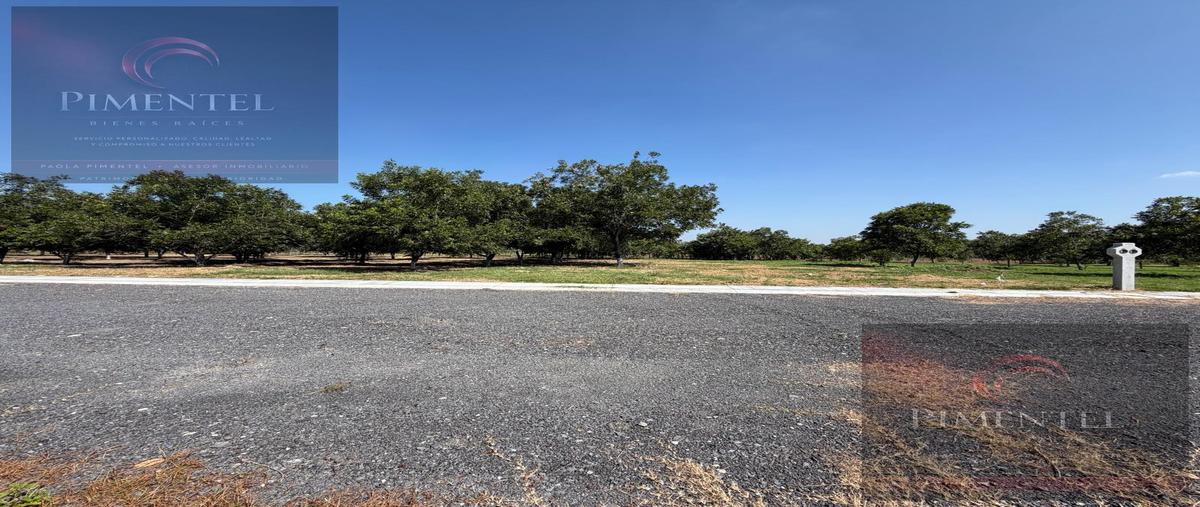 Foto de terreno habitacional en venta en  , los nogales, montemorelos, nuevo león, 0 No. 04