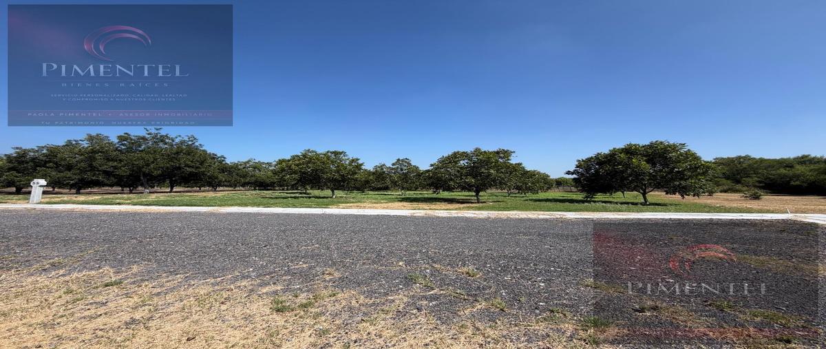 Foto de terreno habitacional en venta en  , los nogales, montemorelos, nuevo león, 0 No. 05