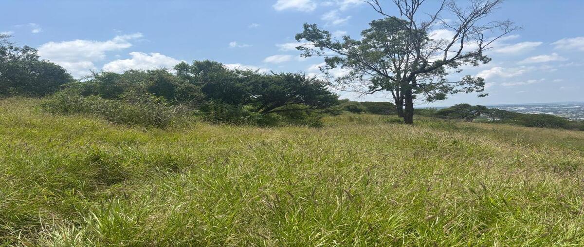 Foto de terreno habitacional en , los olvera, corregidora, querétaro, 0 foto 04 Foto de terreno habitacional en venta en , los olvera, corregidora, querétaro, 0 No. 04