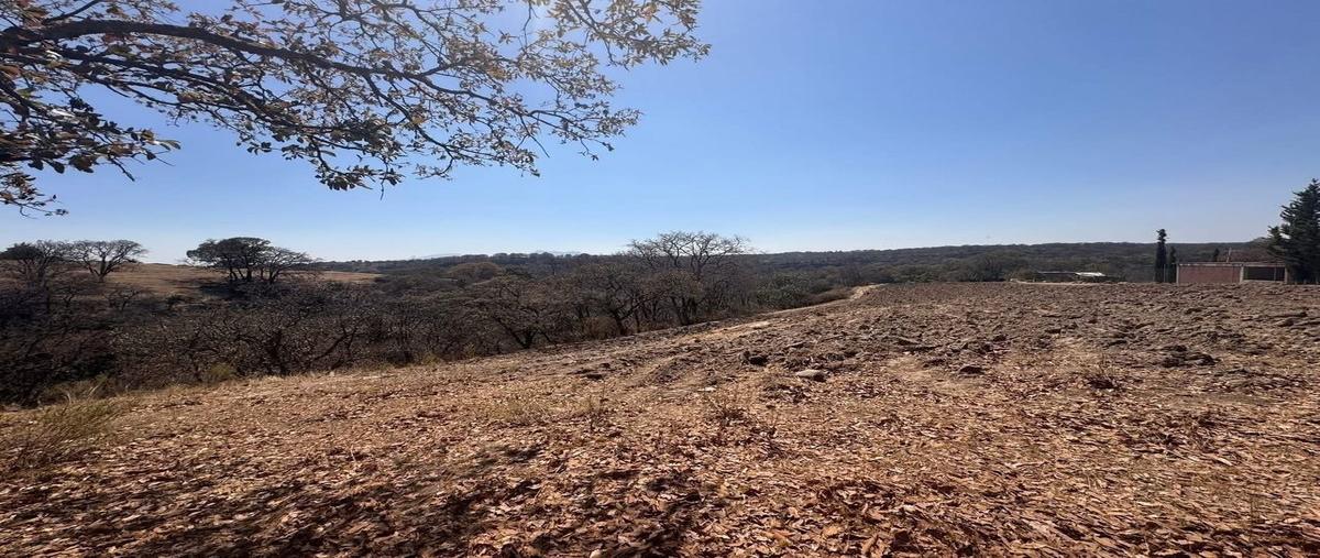 Foto de terreno habitacional en venta en  , los oratorios, villa del carbón, méxico, 0 No. 03